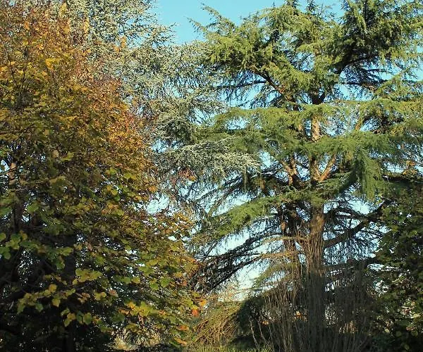 La Casa Di Neh Rivalba